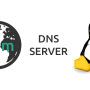 logo_dns.png